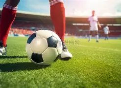 重磅,岁邵佳一勇,担重任,贪玩娱乐官网,贪玩娱乐官网全球信赖,贪玩娱乐官网在线娱乐平台