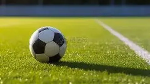 贪玩娱乐 产品 015232 erp