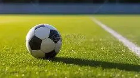 2025微博盛典嘉宾名单揭晓+直播时间及平台公布