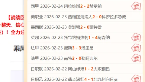 西篮甲分析：期号胜负预测及总分前瞻